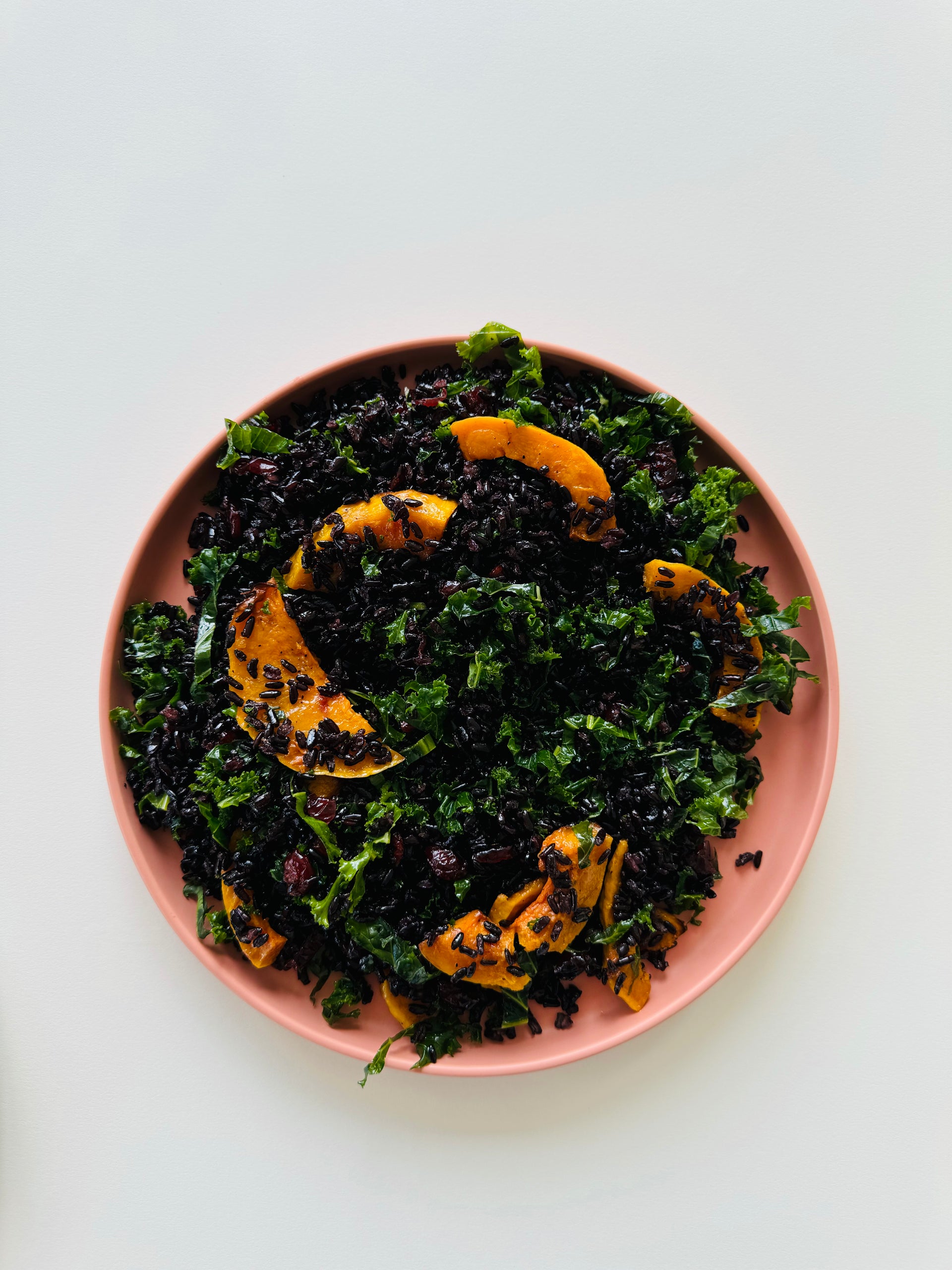 Black Rice with Delicata Squash, Cranberries, Kale, & Sherry Vinaigrette